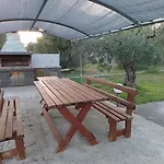 The Secret Olive House *