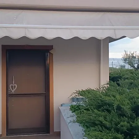 The Secret Olive House