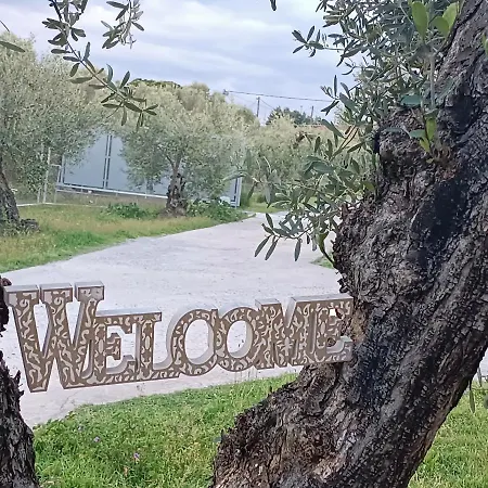 The Secret Olive House * Michaniona