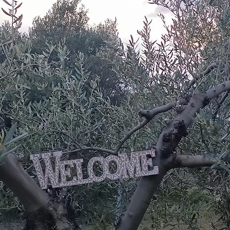 Holiday home The Secret Olive House *