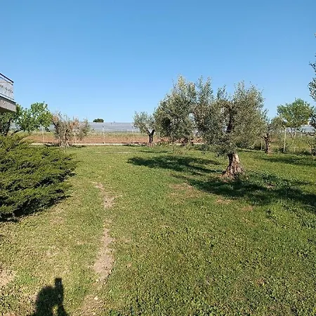 Holiday home The Secret Olive House *