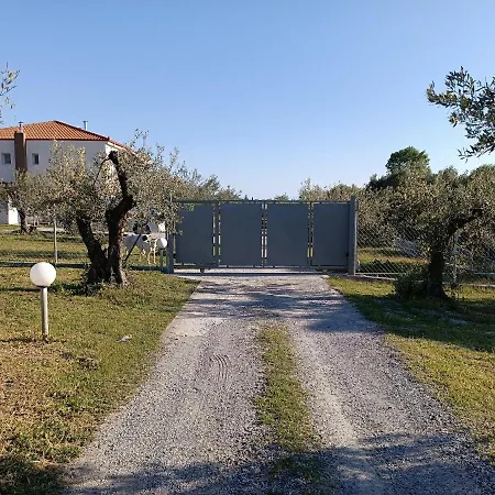 The Secret Olive House Tatil Evi Michaniona