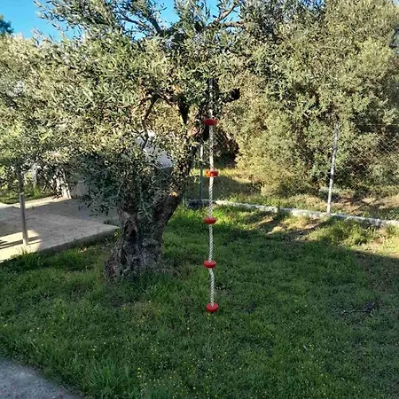 The Secret Olive House Holiday home