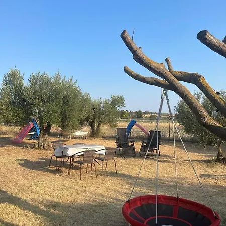 The Secret Olive House