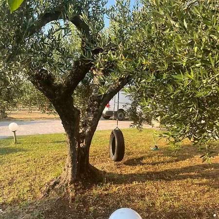 Сasa de vacaciones The Secret Olive House Nea Michaniona