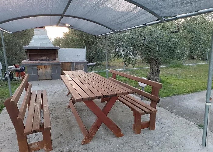 The Secret Olive House *