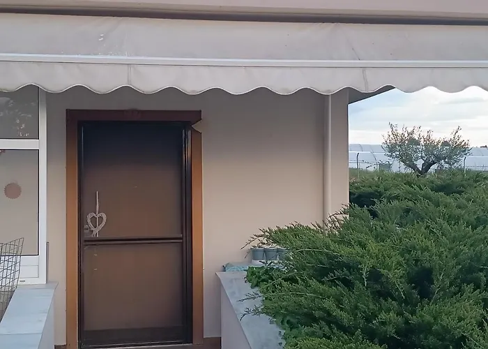 The Secret Olive House