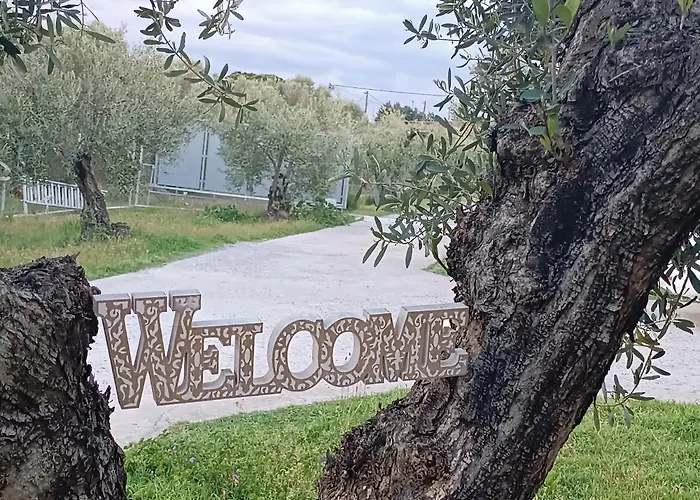 The Secret Olive House * Nea Michaniona
