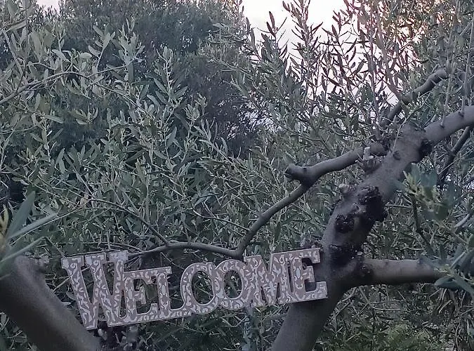 Casa de Férias The Secret Olive House *