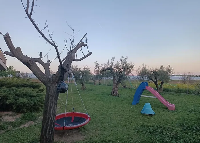 The Secret Olive House Nea Michaniona
