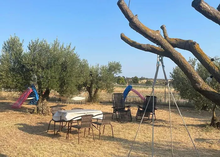 The Secret Olive House