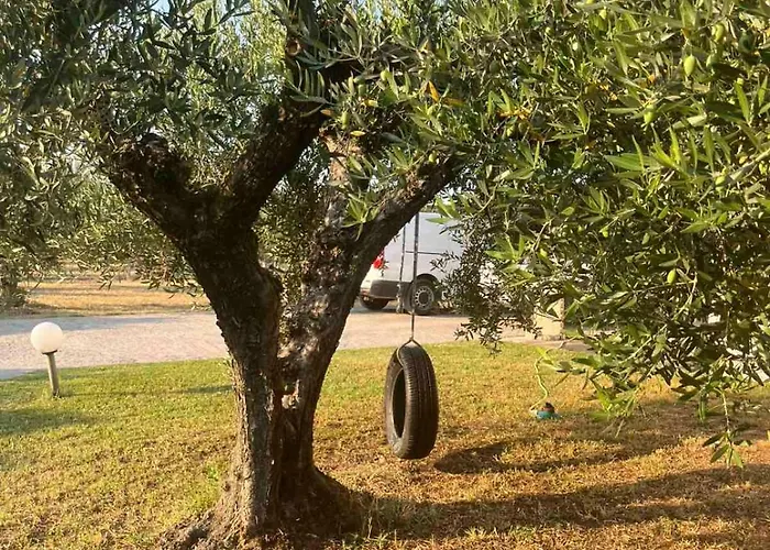 Casa de Férias The Secret Olive House Nea Michaniona