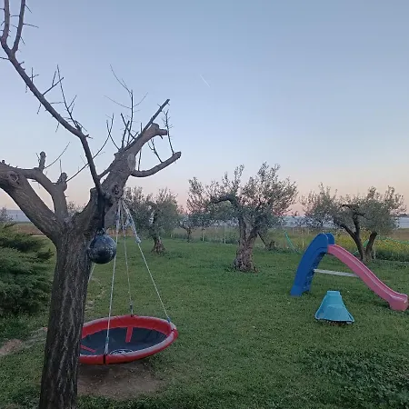 The Secret Olive House Nea Michaniona